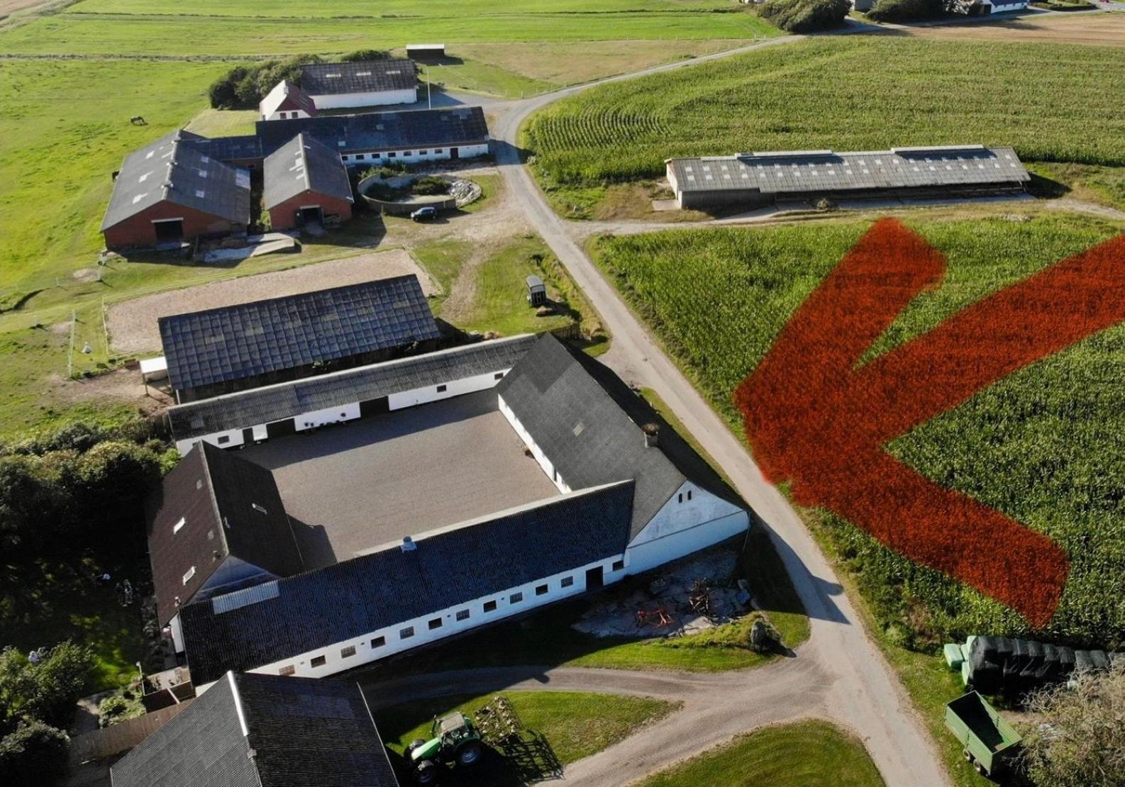 Lokken Farm Holiday Exteriör bild
