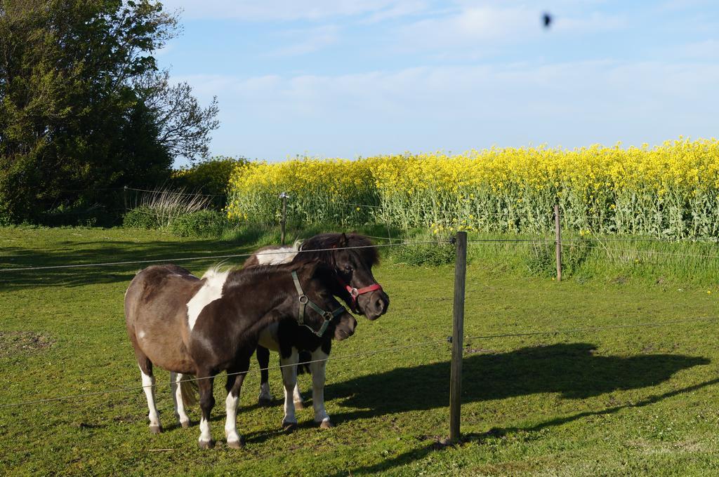 Lokken Farm Holiday Rum bild