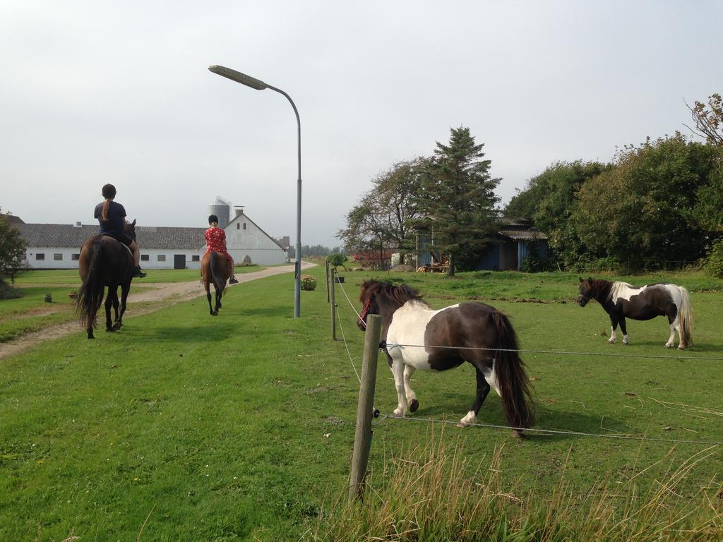 Lokken Farm Holiday Exteriör bild